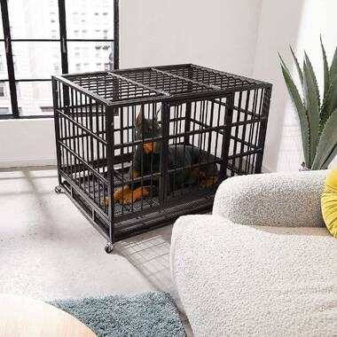 52 inch 2024 dog crate